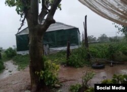 Afectaciones en la zona tabacalera de San Juan y Martínez, Pinar del Río. (Facebook/Tele Pinar)