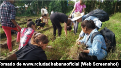 En esta fotografía de la emisora oficialista Radio Coco, un grupo de adolescentes trabajan en el campo.