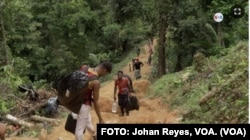 Un grupo de migrantes en la puerta de entrada a la inhóspita jungla del Darién, en Colombia. FOTO: Johan Reyes, VOA.