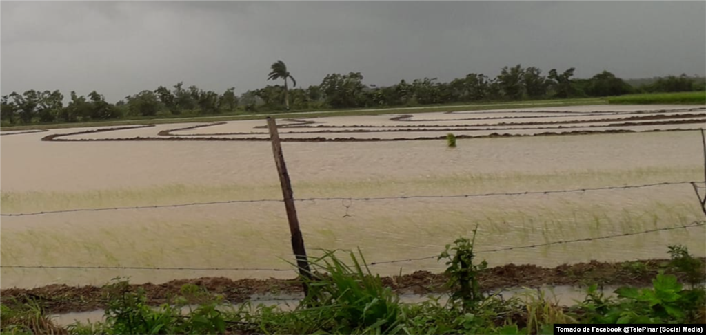 Inundaciones y crecidas en Pinar del Río a causa de Idalia.