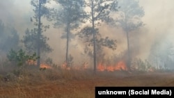 Incendio forestal en Pinares de Mayarí, en la provincia de Holguín. (Fuente: Facebook/Emilio Rodríguez Pupo)