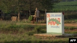 Una cooperativa agropecuaria en San Juan y Martínez, Pinar del Río. (AFP/Archivo)