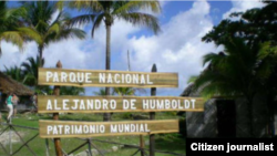 Parque Nacional Alejandro de Humboldt, declarado por la UNESCO como Patrimonio Mundial.