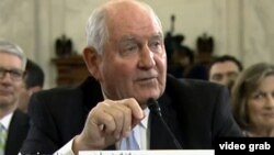 El candidato a secretario de Agricultura de Trump, "Sonny" Perdue, durante su audiencia de confirmación en el Senado.