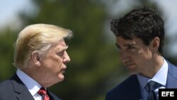 El presidente de EEUU, Donald Trump y el primer ministro canadiense, Justin Trudeau. (Archivo)