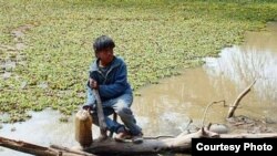 En Miraflores, en el centro del Impenetrable caminan 15 minutos hasta un charco del que extraen el agua para cocinar y lavar.