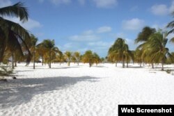 Playa Sirena, en Cayo Largo.