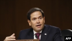 Marco Rubio, senador republicano de origen cubano. (Andrew Harnik/AFP).