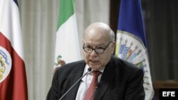 El secretario general de la Organización de Estados Americanos, José Miguel Insulza