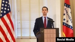 El senador Tom Cotton, de Arkansas.