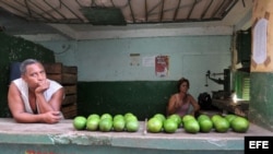 Un trabajador de un pequeño comercio agrario cubano ofrece sus productos.