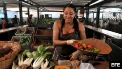 La capacidad de producir alimentos en la isla sigue siendo muy limitada.