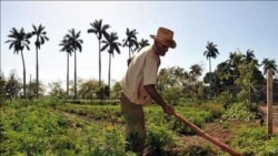 La solución a la escasez de alimentos requiere de aperturas