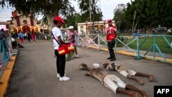 Una pareja de peregrinos cubanos participan en la procesión de San Lázaro mientras avanzan entre personal médico en la iglesia El Rincón en La Habana el 16 de diciembre de 2024.