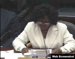 Berta Soler en su comparecencia en el Subcomité de la Cámara de Representantes de EEUU.