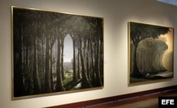 La exposición "Paisaje" con un total de 8 piezas, del artista cubano Tomás Sánchez, la cual es presentada desde este fin de semana en Museo de Arte Costarricense, en San José, con el objetivo de revelar la imperfecta naturaleza y la esencia del existencia