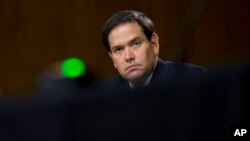 Marco Rubio, senador republicano. Gabriella Demczuk/The New York Times via AP, Pool