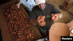 Un hombre vende papas en un mercado de La Habana. (REUTERS/Desmond Boylan-Archivo)