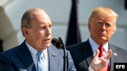 El principal asesor económico de la Casa Blanca, Larry Kudlow