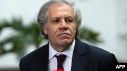 Luis Almagro, Secretario General de la Organización de Estados Américanos