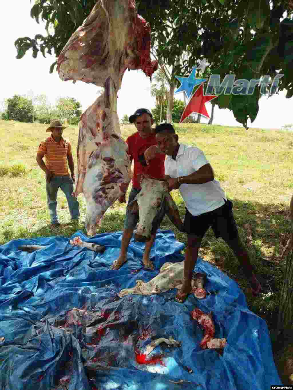 Cubanos en la selva del Darién