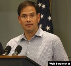 Senador Marco Rubio.