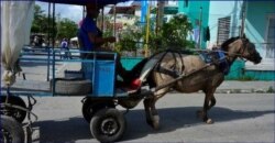 Cocheros en Sancti Spíritus.