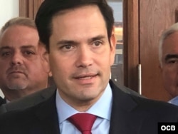 Senador Marco Rubio