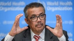 Tedros Adhanom Ghebreyesus director general de la OMS. Fabrice COFFRINI / AFP