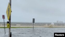 La costa de Tampa el 5 de agosto de 2024. (Lora Bevirt/via REUTERS).