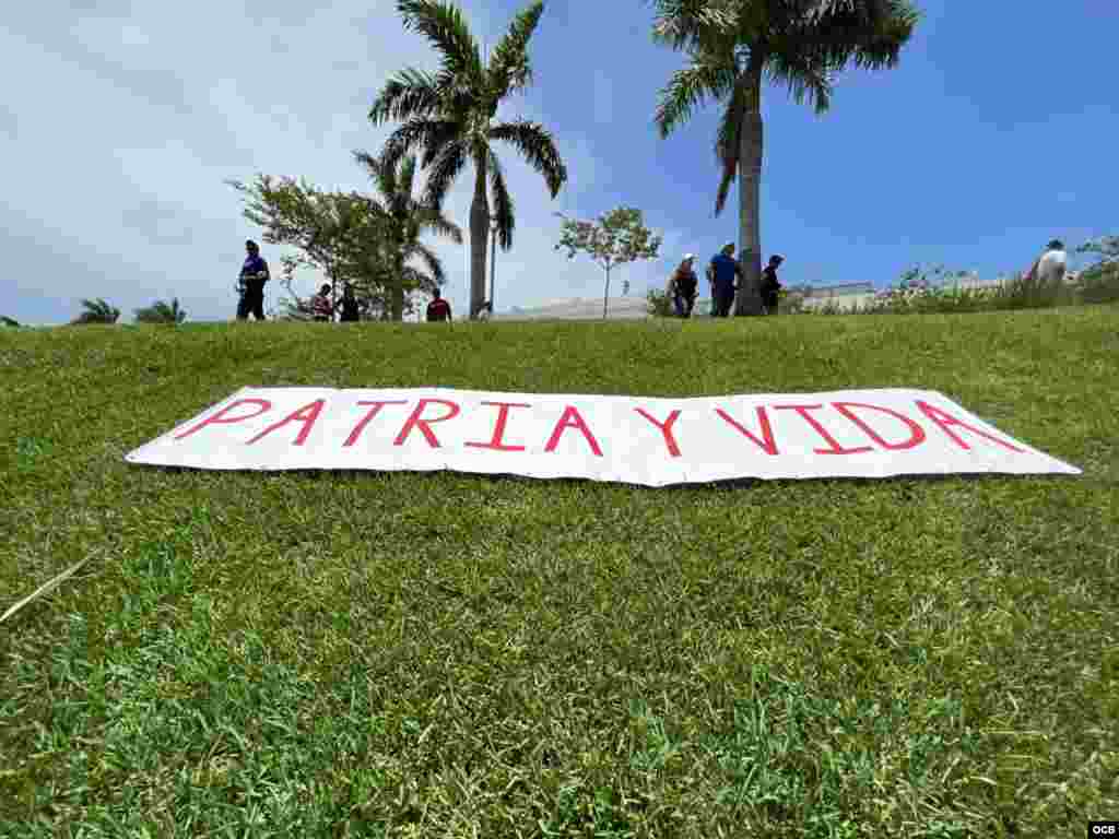 En el cesped del estadio Palm Beach