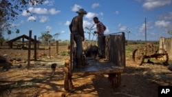 Campesinos cubanos. AP Photo/Ramon Espinosa