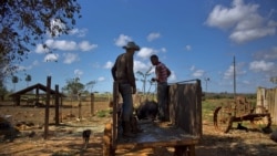 "El hambre está atroz", denuncia campesino cubano