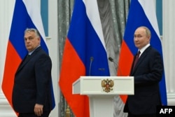 El presidente de Rusia, Vladimir Putin, y el primer ministro de Hungría, Viktor Orban, en el Kremlin de Moscú el 5 de julio de 2024. (Foto de Alexander NEMENOV / AFP)