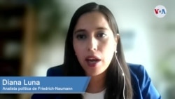 Declaraciones de la analista Diana Luna del think tank Friedrich-Naumann