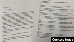 Las cartas dirigidas por el grupo de cubanos a la gobernadora de Nueva York y al embajador de Ucrania ante la ONU.