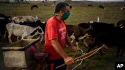 Un campesino se protege del coronavirus con una mascarilla, en Caimito, La Habana. (AP/ Ramón Espinosa)