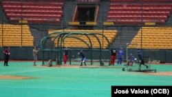 Equipo de Pinar del Río durante sus prácticas este domingo en el complejo Roberto Clemente Walker, en Carolina.