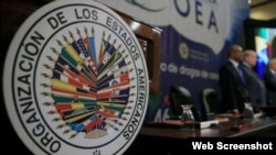 El embajador de Bolivia en la OEA, Diego Pary, confirmó a la prensa que la reunión sobre Venezuela "está suspendida".