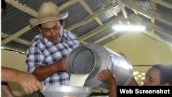 Producción de leche fresca.