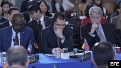 Delegación venezolana en la Asamblea General de la OEA