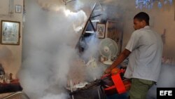 Un hombre fumiga una vivienda como parte de la campaña contra el mosquito "Aedes aegipti", transmisor del dengue. Foto de archivo