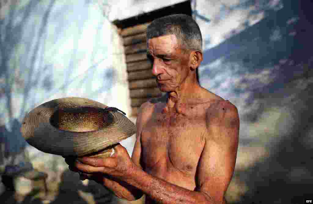 l campesino cubano Pepe Casañas posa con un alacrán el 29 de marzo de 2017, en el poblado de Los Palacios, en la provincia occidental de Pinar del Río (Cuba).