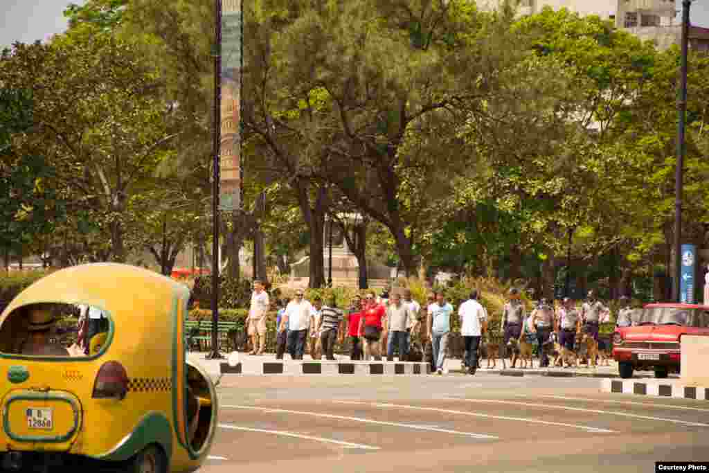 Policía con los canes pasando junto a la Giraldilla, a las 3:00 p.m.